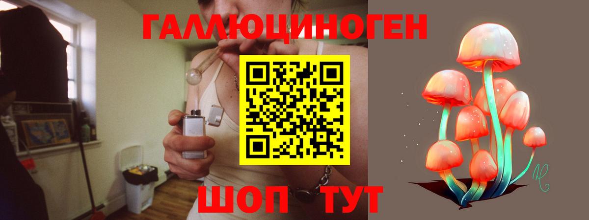 Галлюциногенные грибы Magic Shrooms  Вход с VPN  Галлюциногенные грибы Cubensis  Холмск 